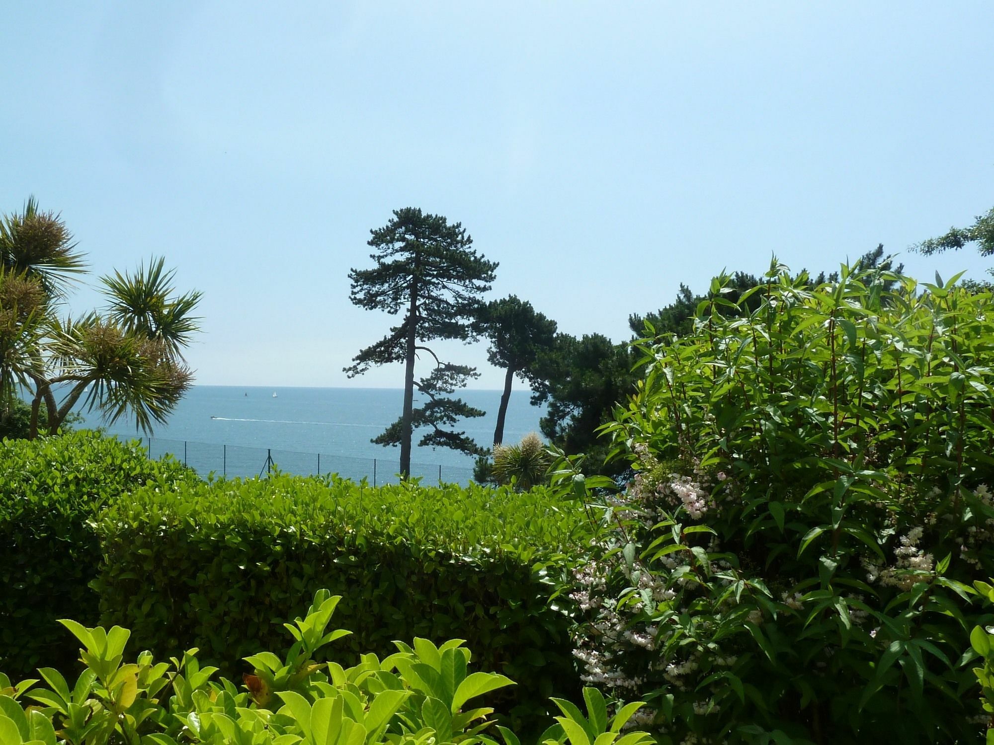 Tramontane Apartment At Hesketh Crescent Torquay Buitenkant foto